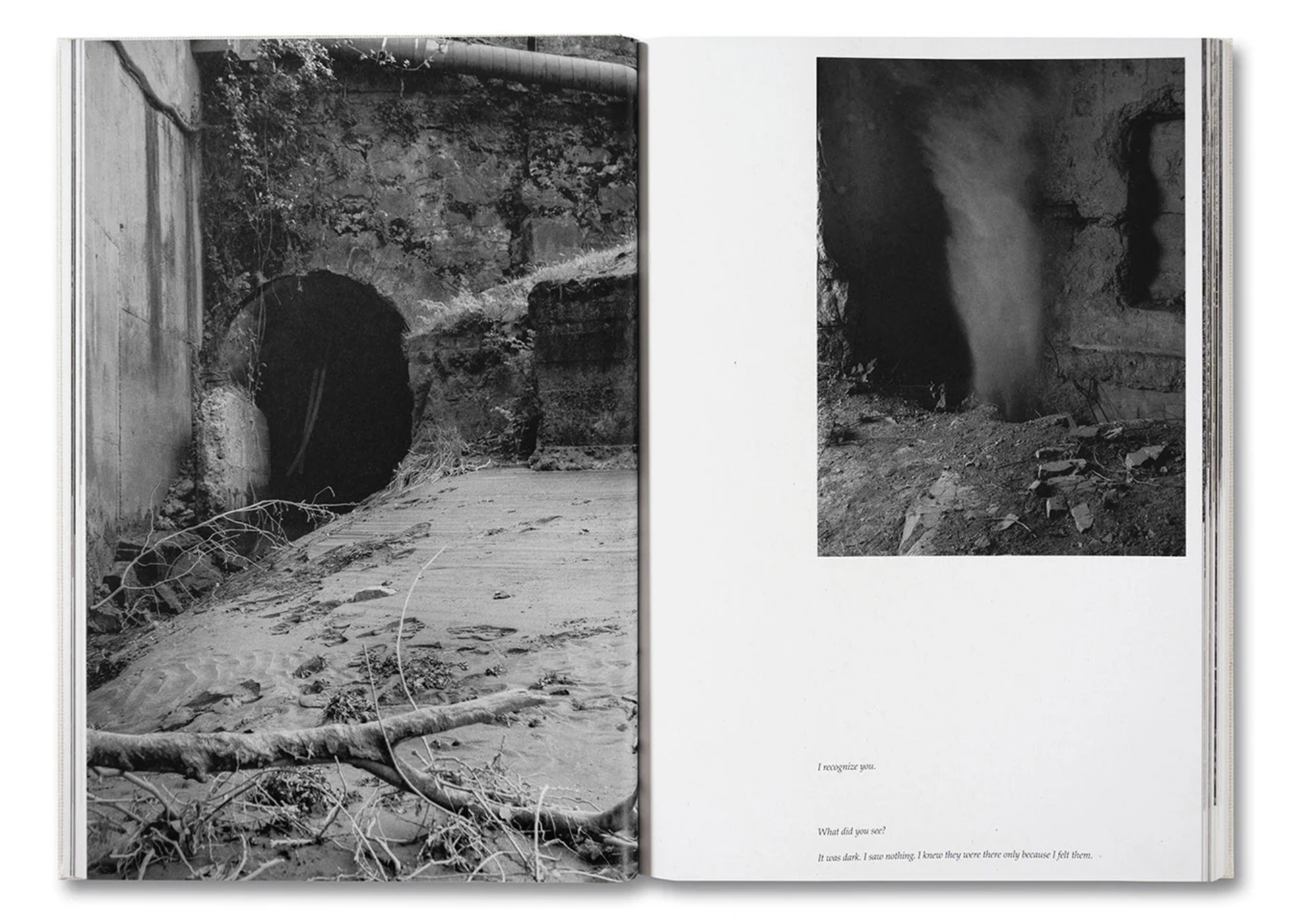 The Inhabitants | Special Edition Preview — Raymond Meeks